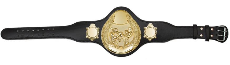 THAI BOXING CHAMPIONSHIP BELT-PLT301/G/TBOG-4 COLOURS